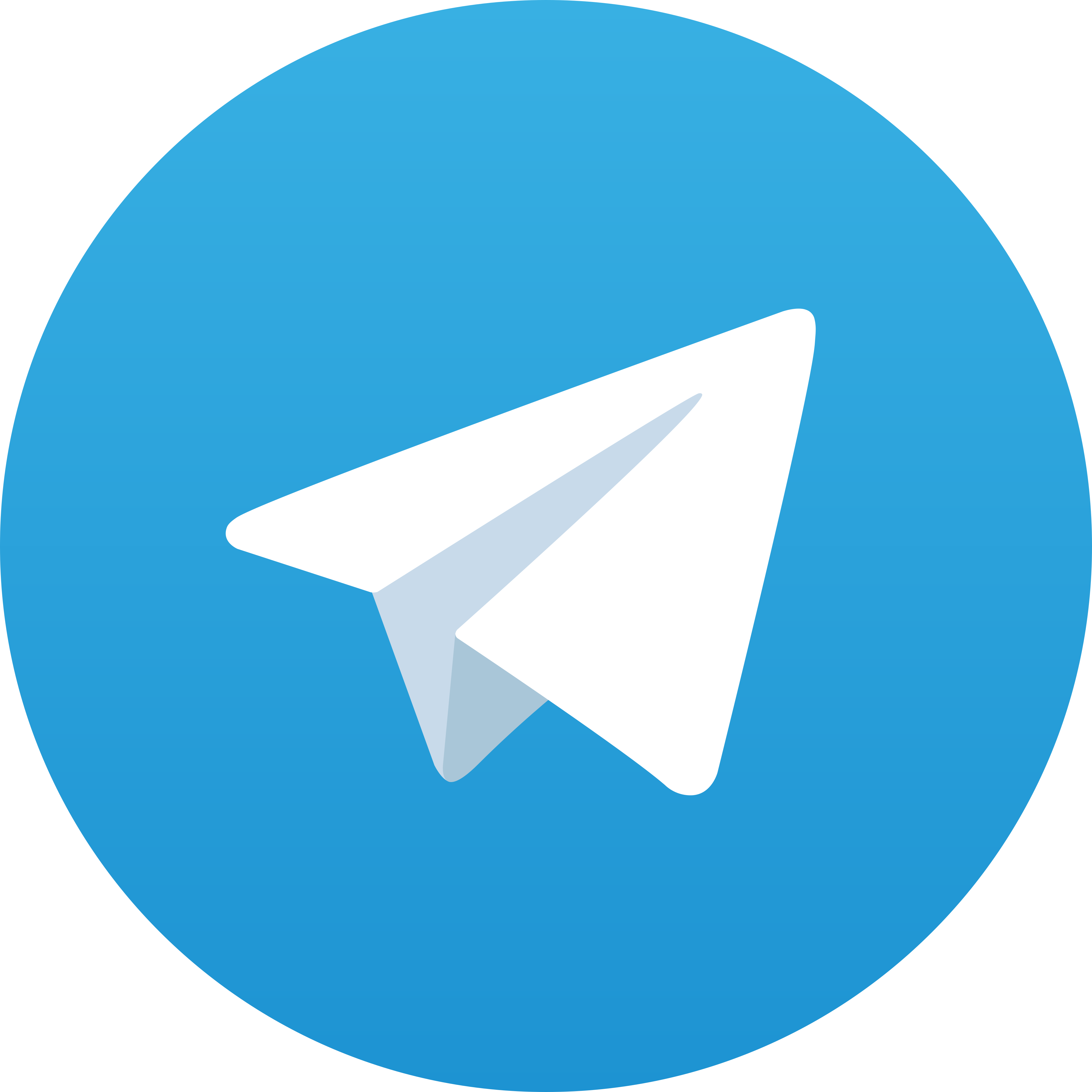 Telegram TENDER88